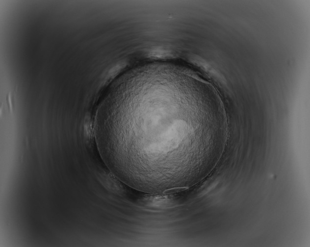 X0000095120384200712141141