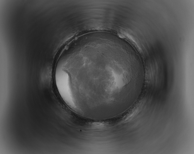 X0000095120394200712141140