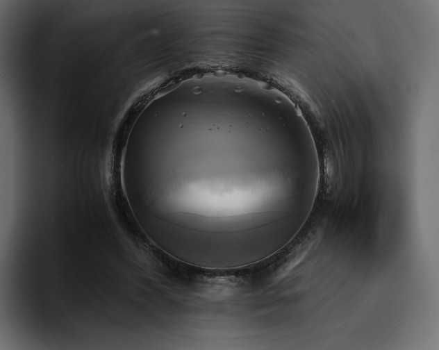 X0000095120396200712141140