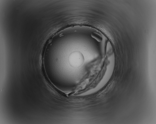 X0000095120397200712141140