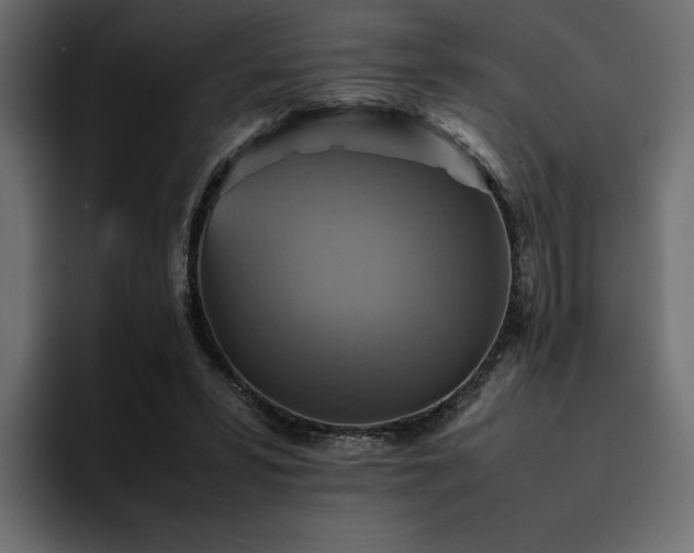 X0000095120399200712141140