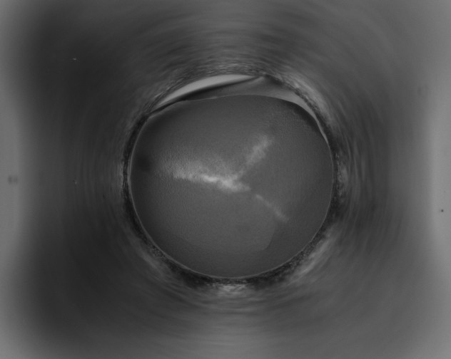 X0000095120401200712141140