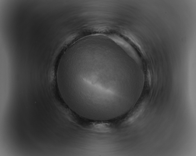 X0000095120407200712141140