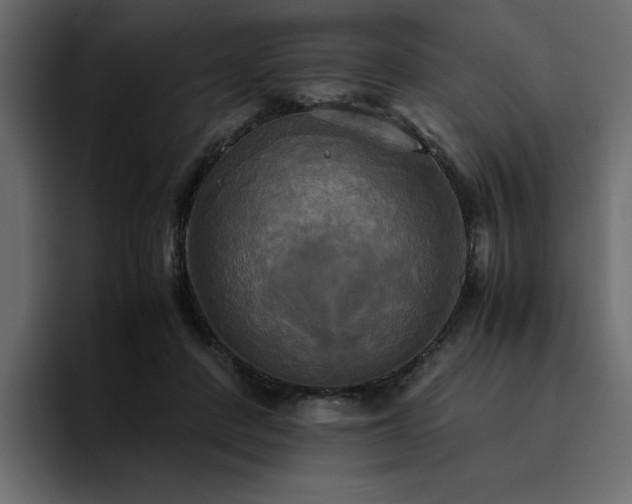 X0000095120408200712141140