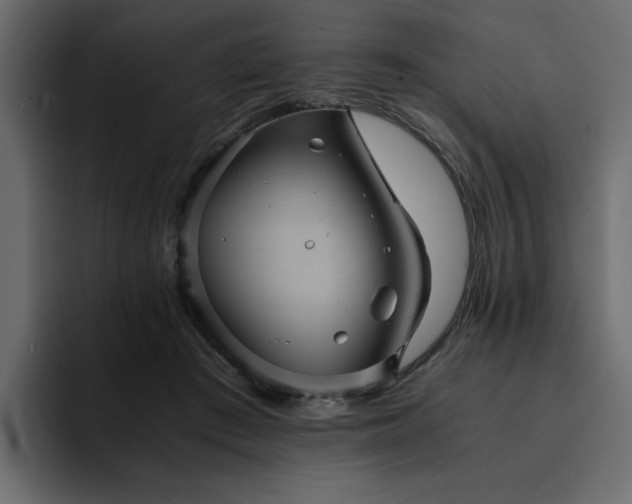 X0000095120409200712141140