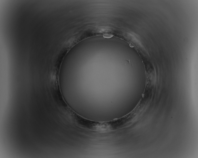 X0000095120415200712141140