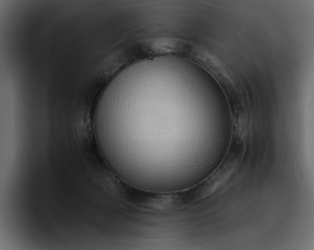 X0000095120418200712141140