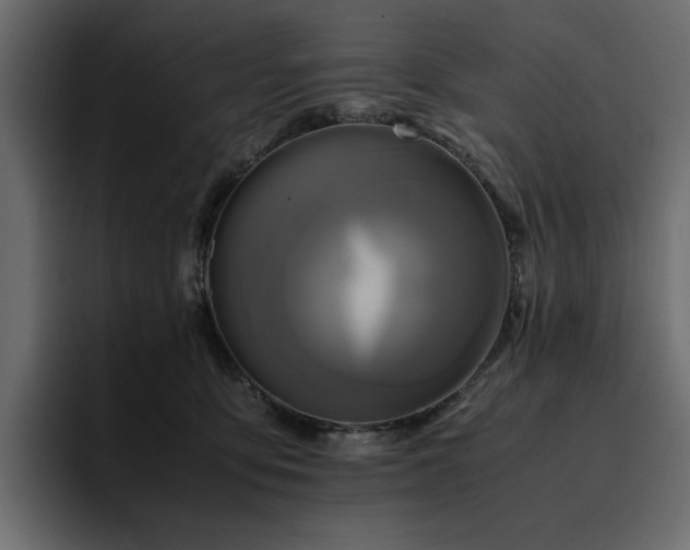 X0000095120419200712141140