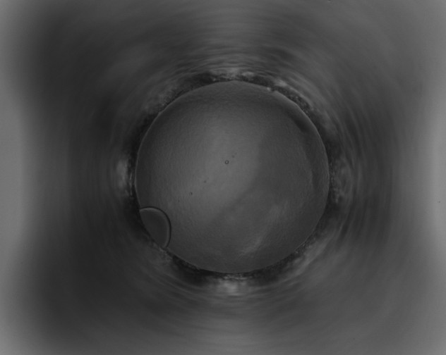 X0000095120420200712141140