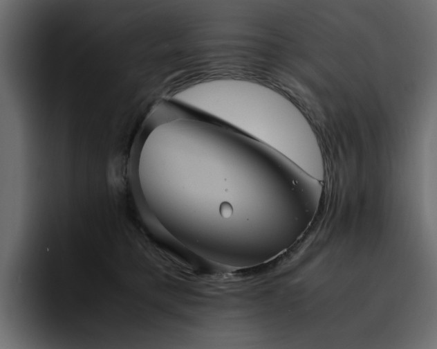 X0000095120421200712141140