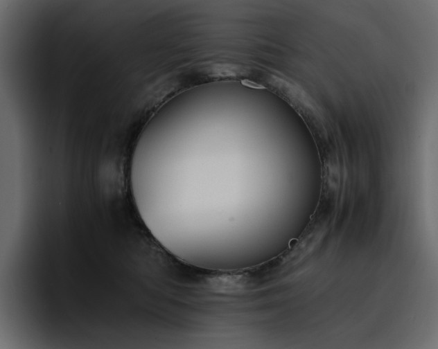 X0000095120422200712141140