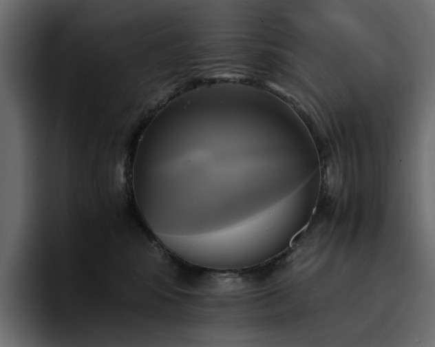 X0000095120424200712141140