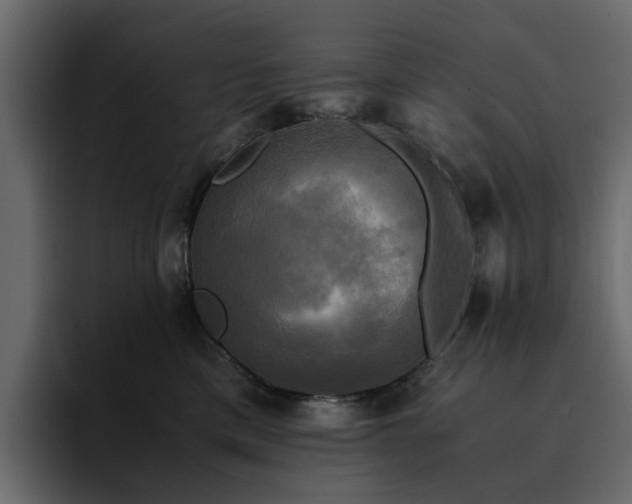 X0000095120425200712141140