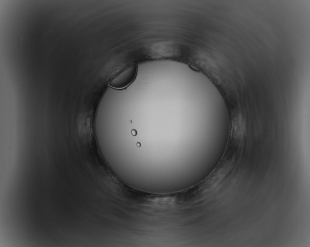 X0000095120426200712141140