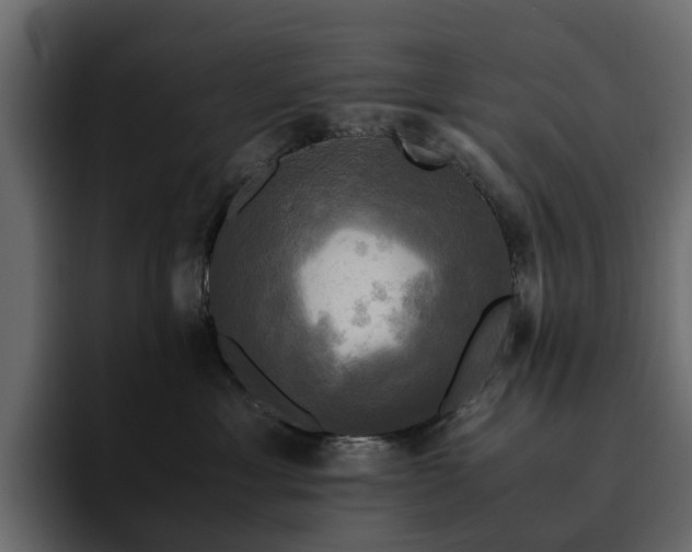 X0000095120429200712141140