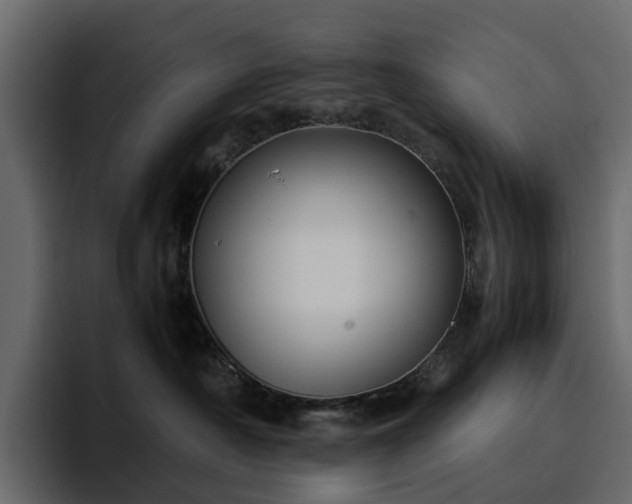 X0000095120430200712141140