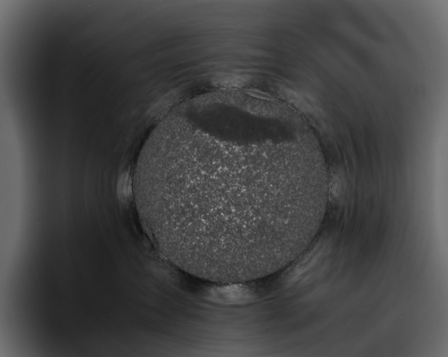 X0000095120431200712141140