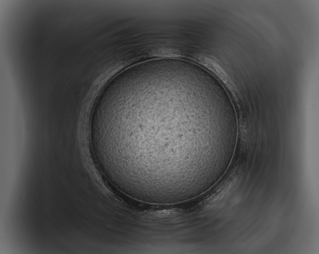 X0000095120433200712141139