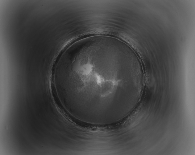 X0000095120434200712141139