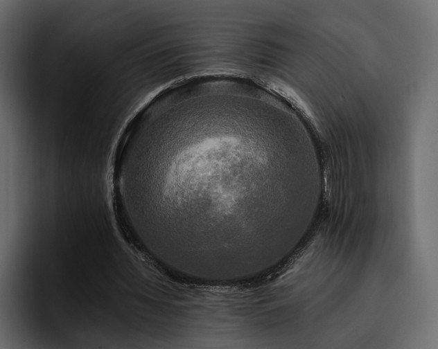 X0000095120436200712141139