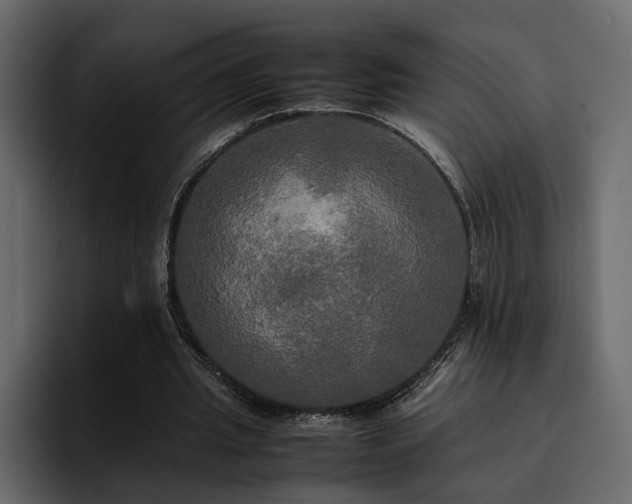 X0000095120437200712141139