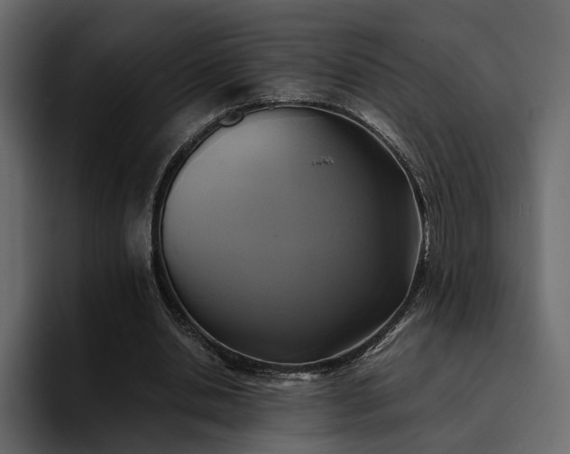 X0000095120438200712141139