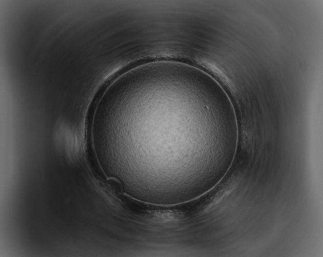 X0000095120439200712141139