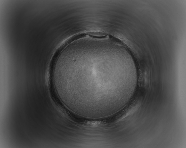 X0000095120440200712141139