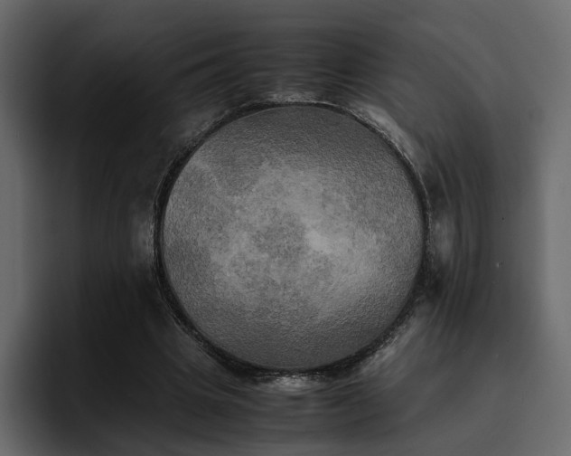 X0000095120441200712141139