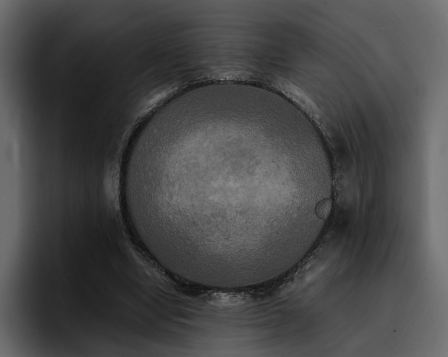 X0000095120442200712141139