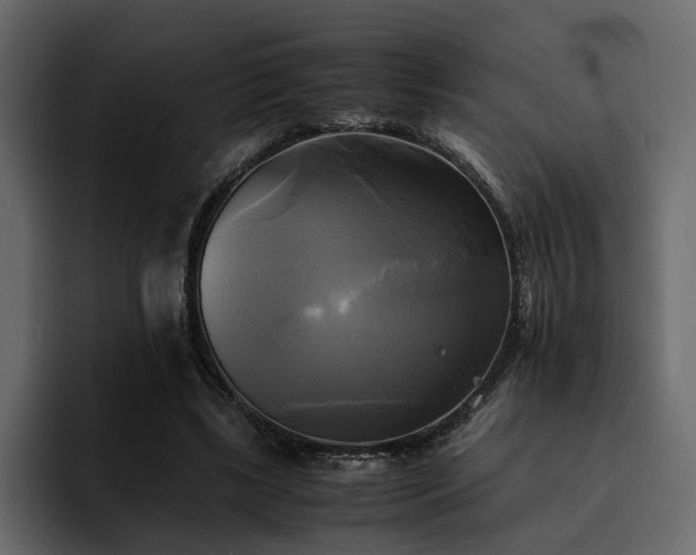 X0000095120443200712141139