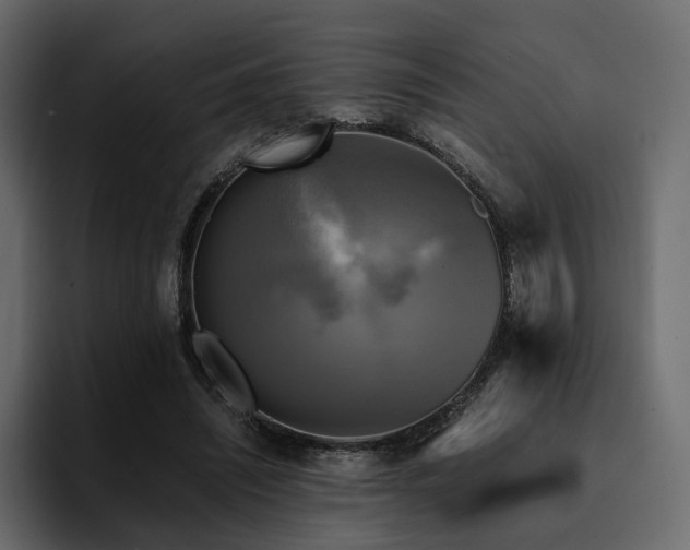 X0000095120444200712141139