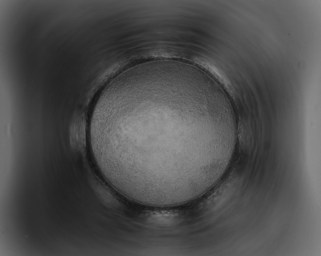 X0000095120445200712141139