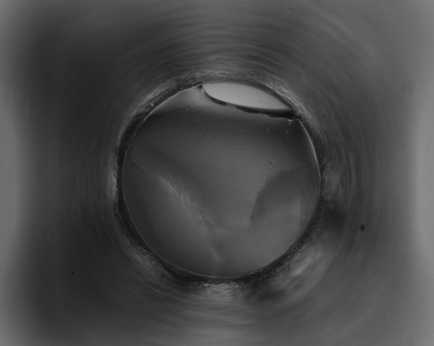 X0000095120446200712141139