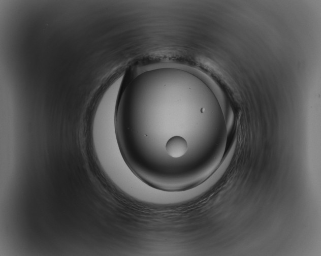 X0000095120448200712141139