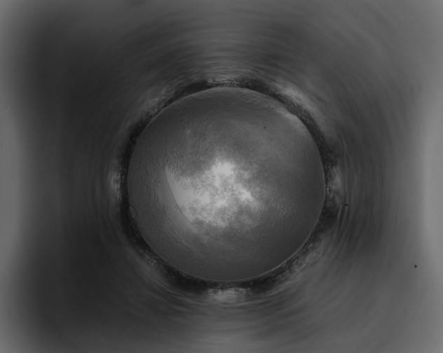 X0000095120452200712141139