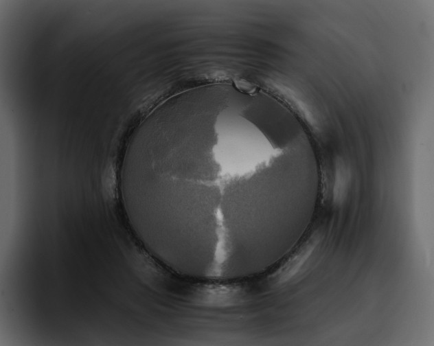 X0000095120453200712141139