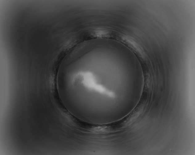 X0000095120461200712141140