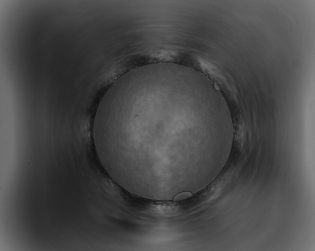 X0000095120466200712141140