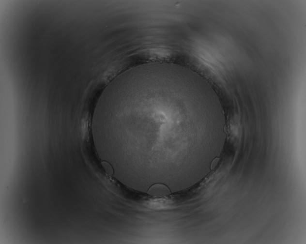 X0000095120468200712141140