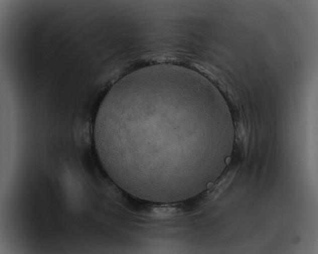 X0000095120470200712141140