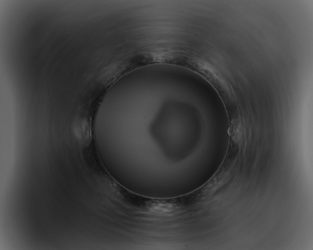 X0000095120471200712141140