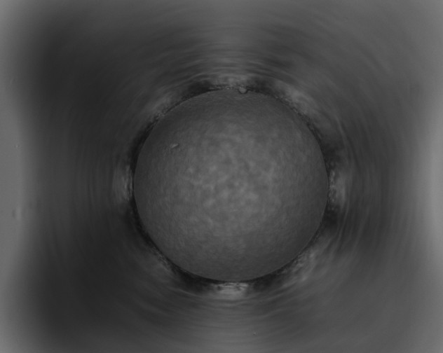 X0000095120474200712141140