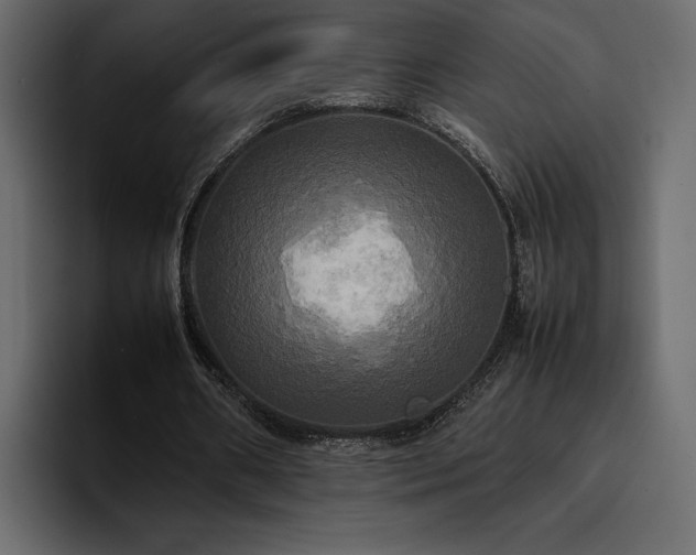 X0000095120482200712141139