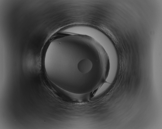 X0000095120484200712141139