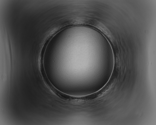 X0000095120485200712141139