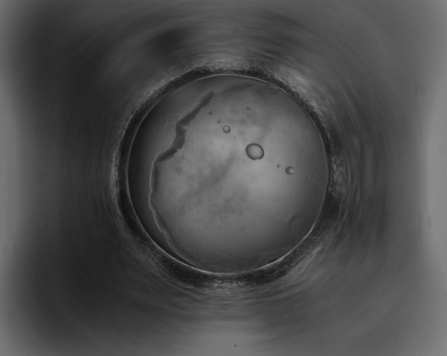 X0000095120487200712141139