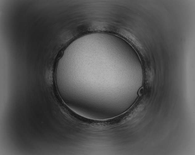 X0000095120489200712141139