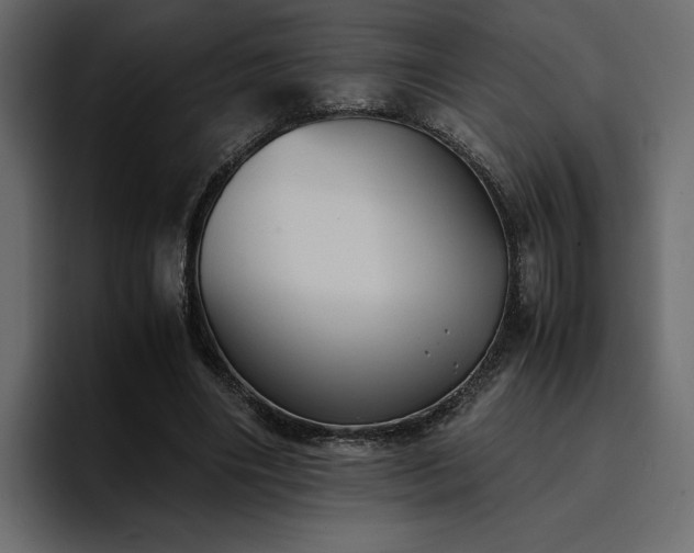 X0000095120490200712141139