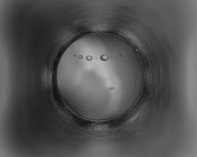 X0000095120491200712141139